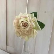 べび
