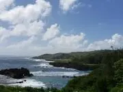 なむなむの画像
