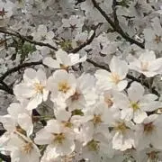 marin2の画像