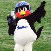 しじみの画像