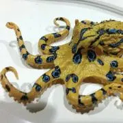 ひひー