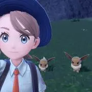 たぬき
