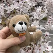 Image of こと@無言取引不可❌
