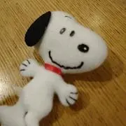 ぽんの画像