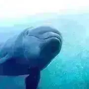 mikinnyの画像