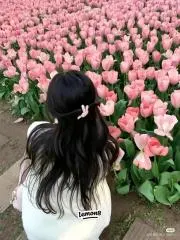はる