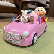 【ご購入前にご確認ください】カリメの画像