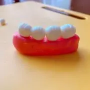 なぴちょの画像