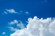 たかの画像