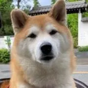 ハヤチャージ