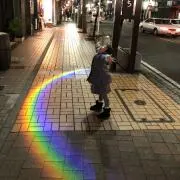 ティモの画像