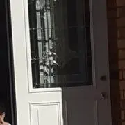 ワンワン