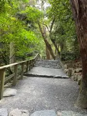 由莉の画像
