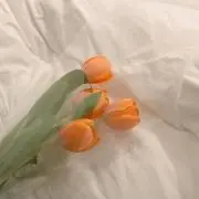みゅう【プロフ必読】の画像