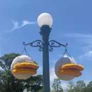 うかの画像