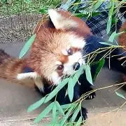 A.M　断捨離中の画像