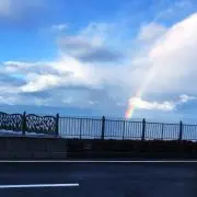 やましん