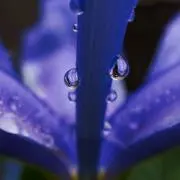 おっくんの画像