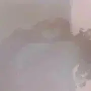 凡の画像