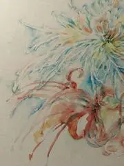 ばなはなの画像