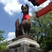 naokenの画像