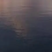 たろ