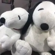 カントリーマアムの画像