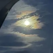 ひまわり