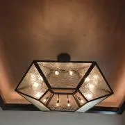 Kopodの画像