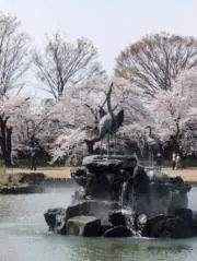 キッカケの画像
