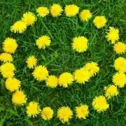 kumegreenの画像