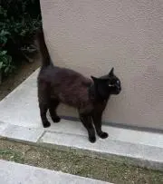 ‹麴  *プロフ推奨の画像
