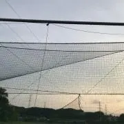 ゴーヤ