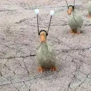 ひい プロフ必読の画像