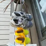 mistの画像