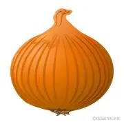 たまねぎの画像