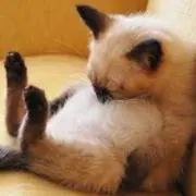 でっぱ