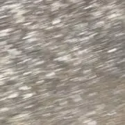 ねんの画像
