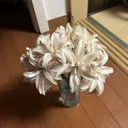 くるみの画像