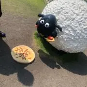 カラの画像