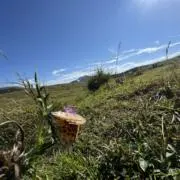 ✴︎海と空✴︎22時まで購入で翌日発送☆の画像