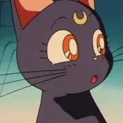るるの画像
