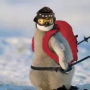 ノアの画像