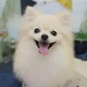 sanaの画像