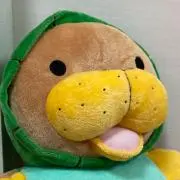 みかんの画像