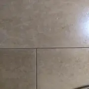 木の画像