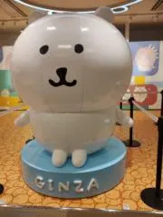 ゆきとらの画像