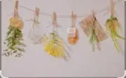 ☘️乃愛 ☘️即購入大歓迎♪の画像