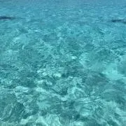 kanattoの画像