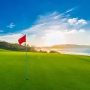 マッスルの画像